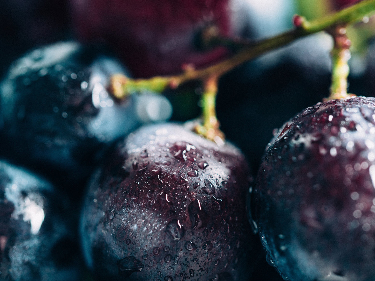 Close-up of fresh, dewy grapes used in Smilekit's grape bubblegum toothpaste flavor.